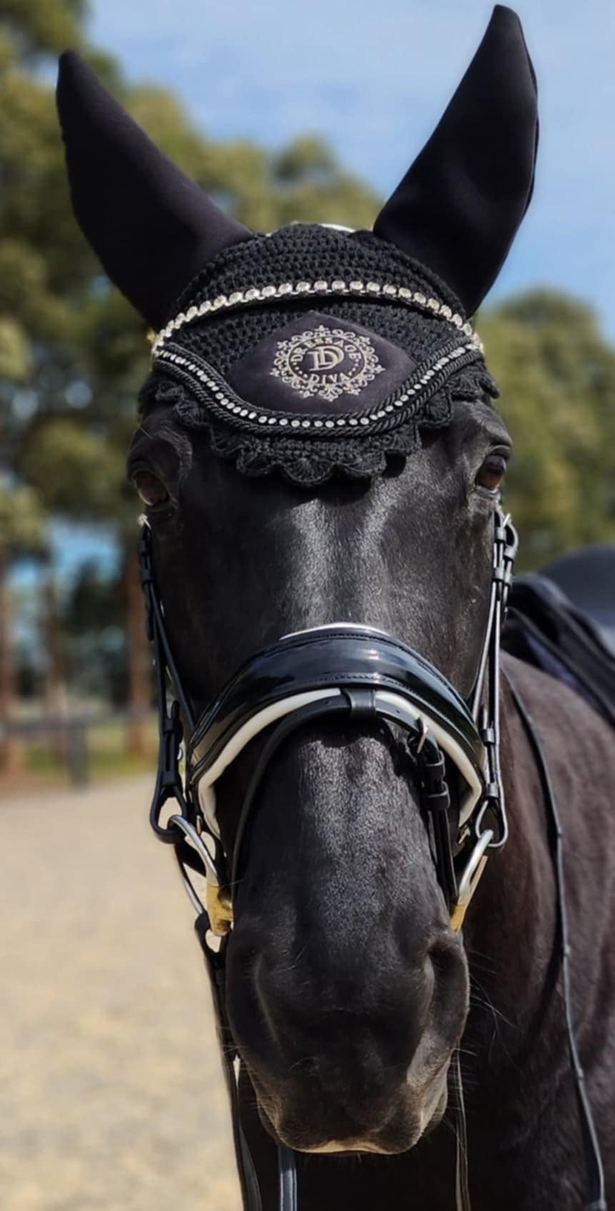 Premium Snaffle Dressage Bridle with white trim piping | Black Leather
